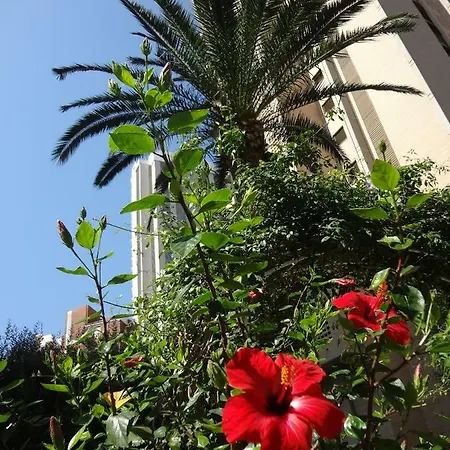 View - Welcome Penthouse Karola Appartement *